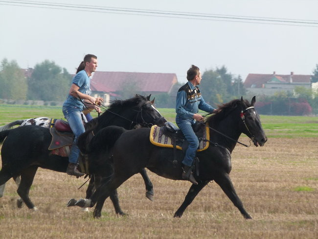 Rekord w Wilkowicach (zdjęcia)