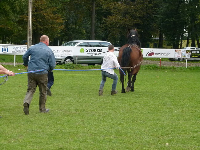 Rekord w Wilkowicach (zdjęcia)