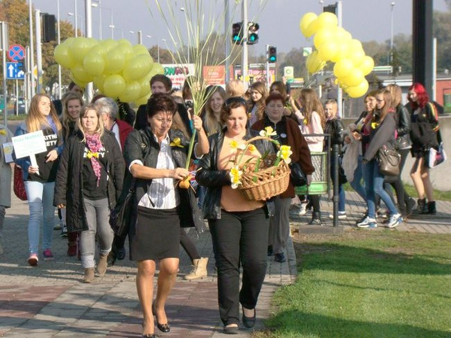 Pole Nadziei zakwitnie wiosną (zdjęcia)