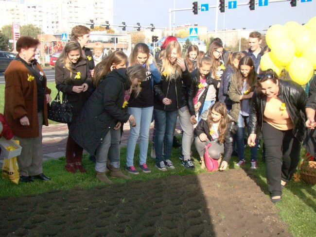 Pole Nadziei zakwitnie wiosną (zdjęcia)