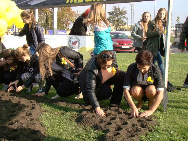 Pole Nadziei zakwitnie wiosną (zdjęcia)