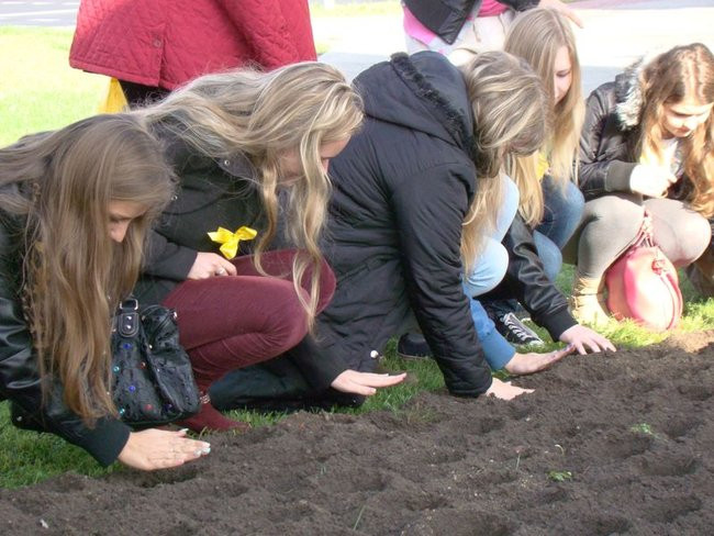 Pole Nadziei zakwitnie wiosną (zdjęcia)