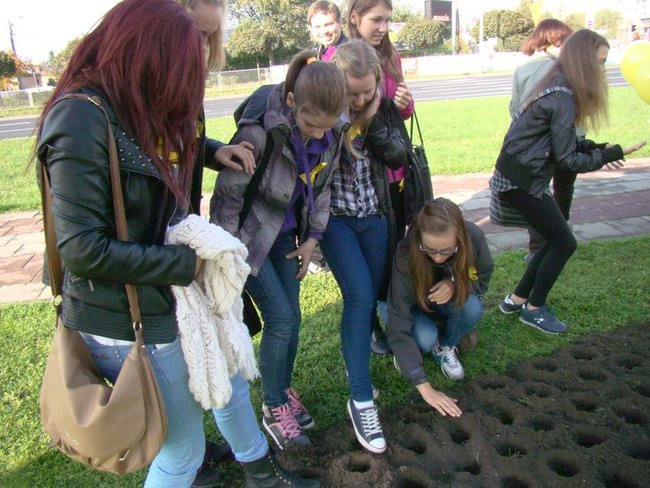 Pole Nadziei zakwitnie wiosną (zdjęcia)