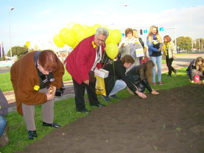 Pole Nadziei zakwitnie wiosną (zdjęcia)