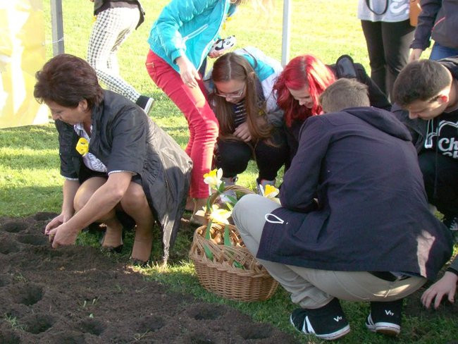Pole Nadziei zakwitnie wiosną (zdjęcia)
