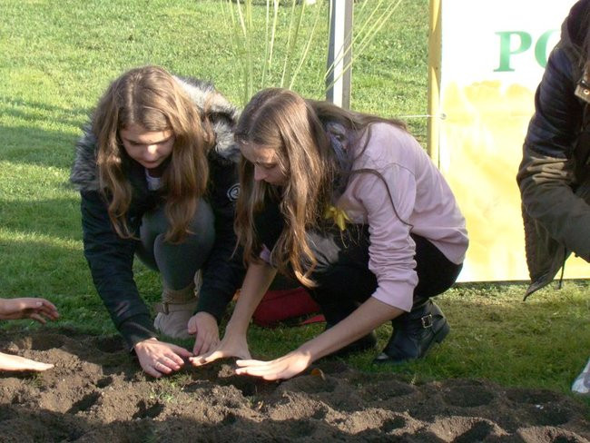 Pole Nadziei zakwitnie wiosną (zdjęcia)