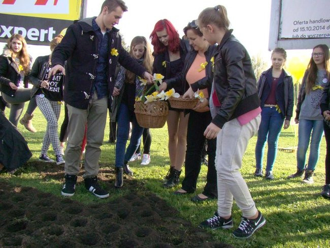 Pole Nadziei zakwitnie wiosną (zdjęcia)