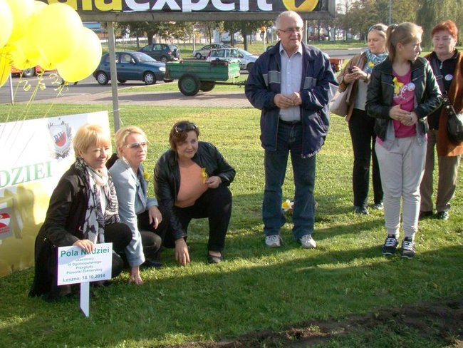 Pole Nadziei zakwitnie wiosną (zdjęcia)