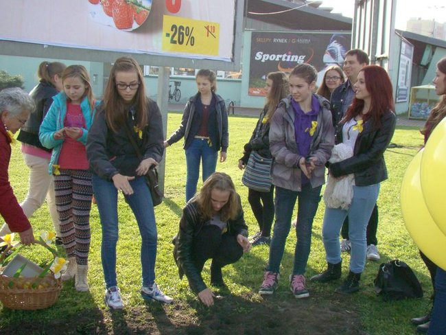 Pole Nadziei zakwitnie wiosną (zdjęcia)