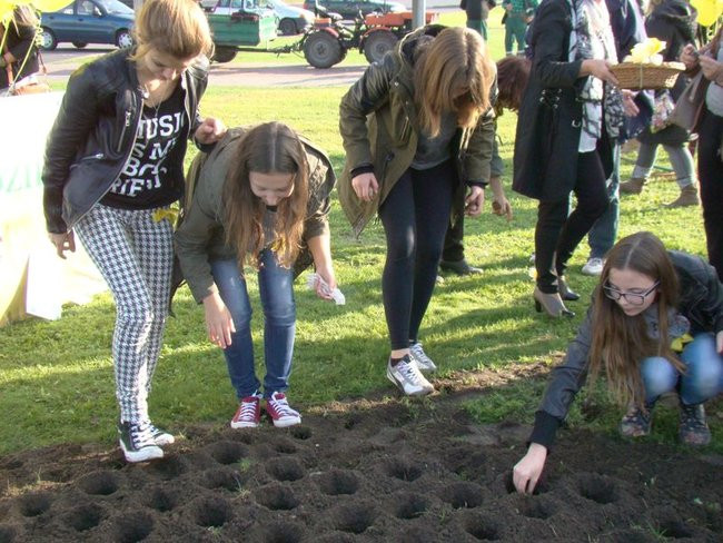 Pole Nadziei zakwitnie wiosną (zdjęcia)