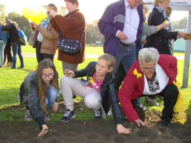 Pole Nadziei zakwitnie wiosną (zdjęcia)