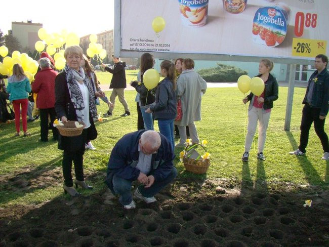 Pole Nadziei zakwitnie wiosną (zdjęcia)