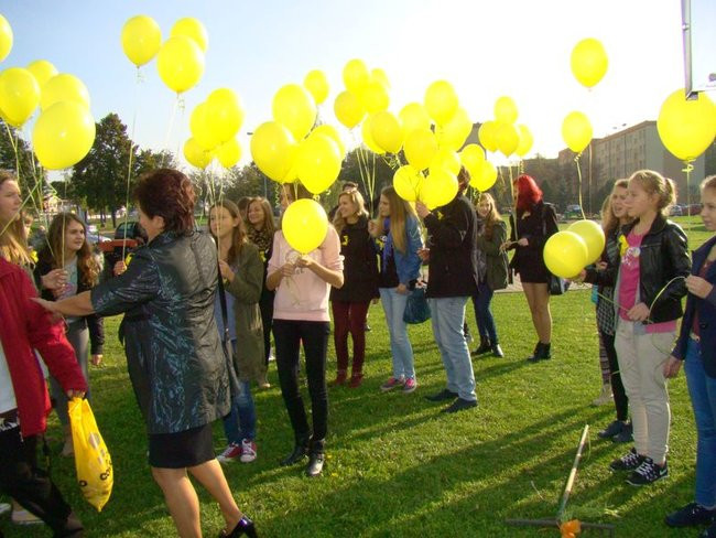 Pole Nadziei zakwitnie wiosną (zdjęcia)