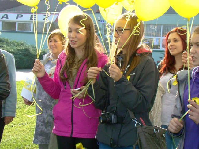 Pole Nadziei zakwitnie wiosną (zdjęcia)