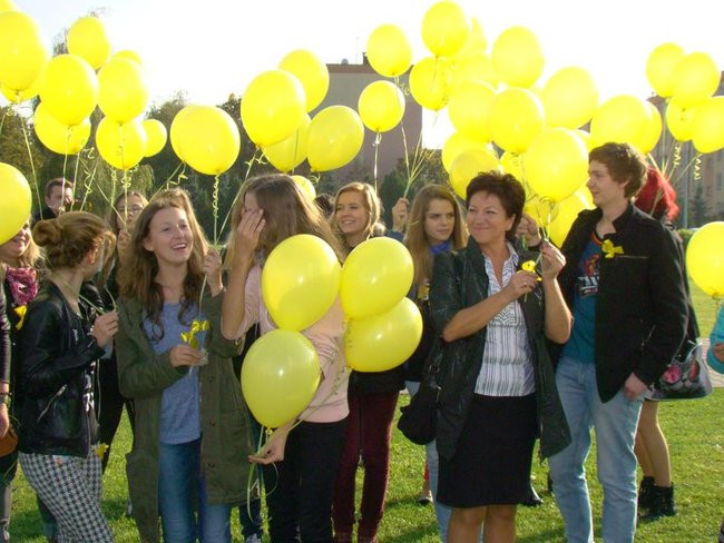 Pole Nadziei zakwitnie wiosną (zdjęcia)