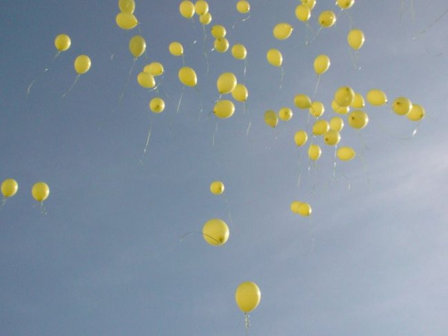 Pole Nadziei zakwitnie wiosną (zdjęcia)