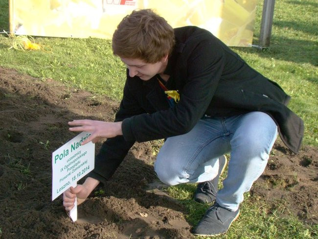 Pole Nadziei zakwitnie wiosną (zdjęcia)