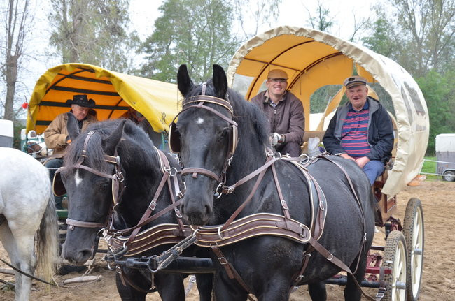 Za lisią kitą (zdjęcia)