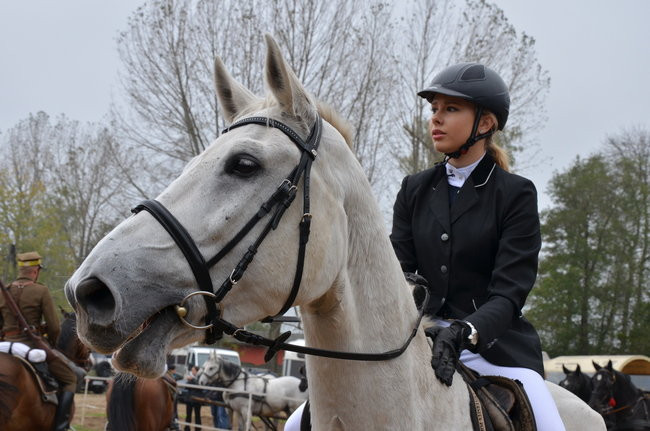Za lisią kitą (zdjęcia)