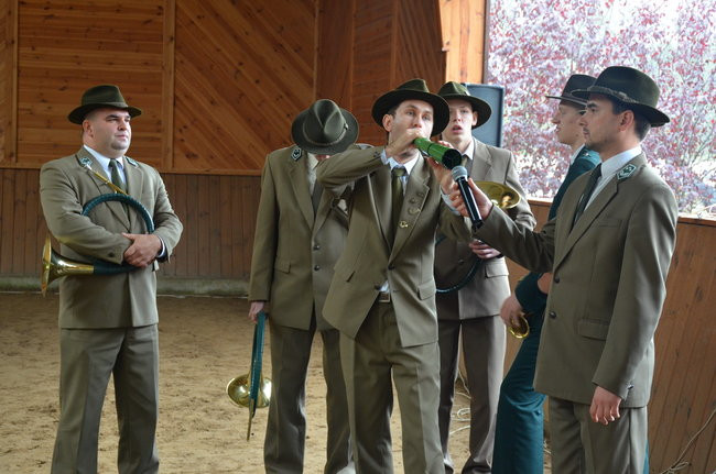 Za lisią kitą (zdjęcia)