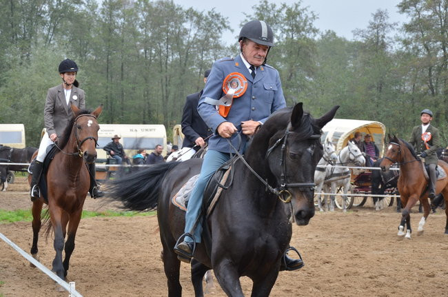 Za lisią kitą (zdjęcia)