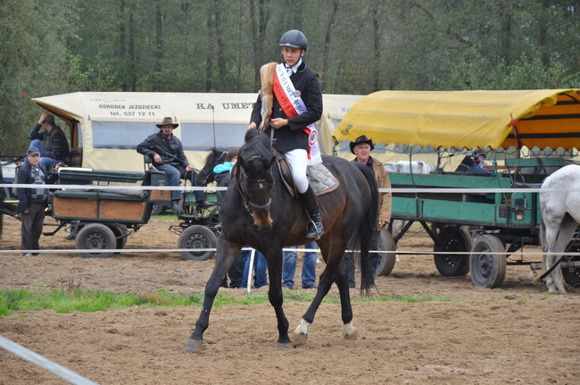 Za lisią kitą (zdjęcia)