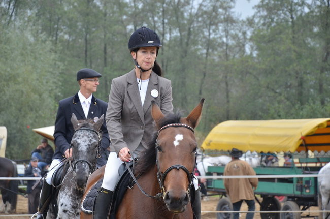 Za lisią kitą (zdjęcia)