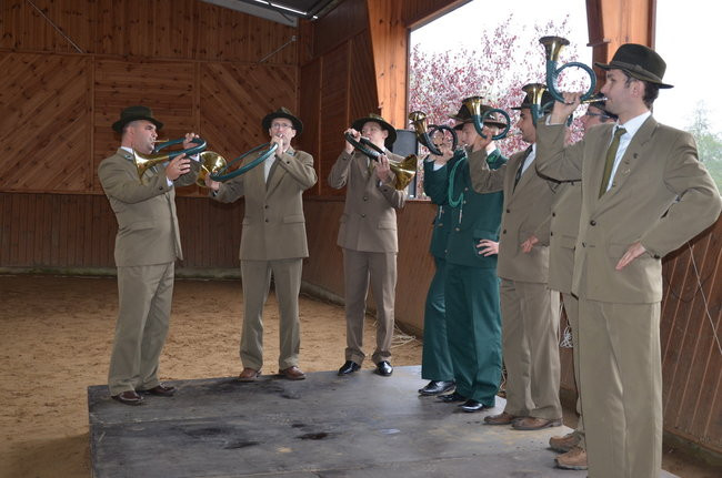 Za lisią kitą (zdjęcia)