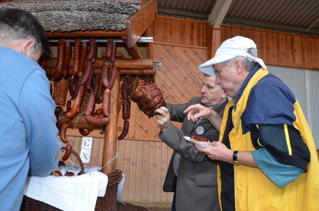 Za lisią kitą (zdjęcia)