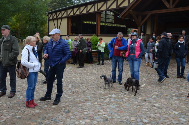 Za lisią kitą (zdjęcia)