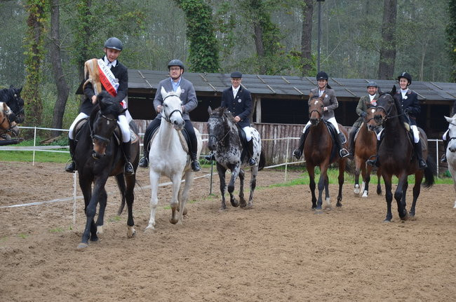 Za lisią kitą (zdjęcia)