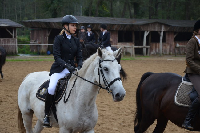 Za lisią kitą (zdjęcia)