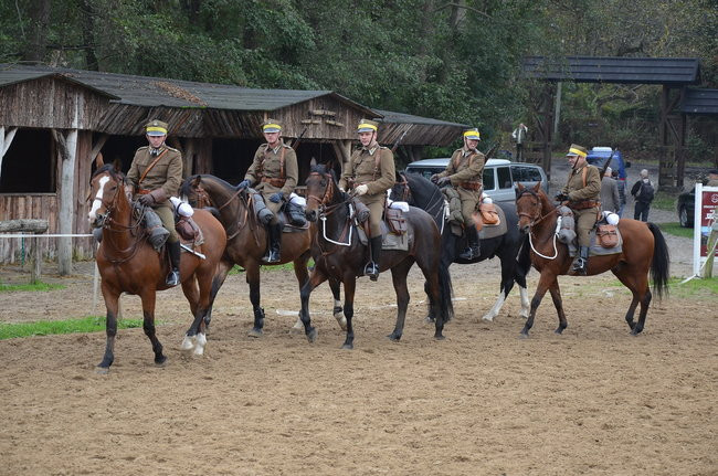Za lisią kitą (zdjęcia)