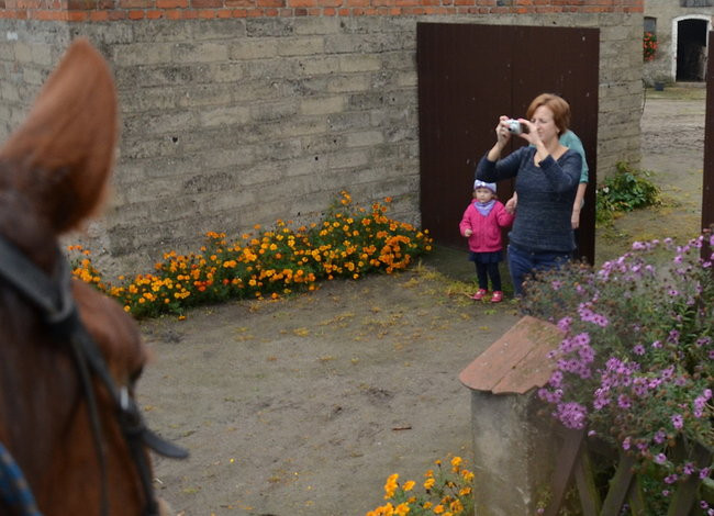 Za lisią kitą (zdjęcia)