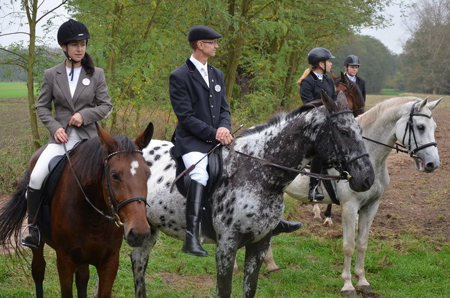 Za lisią kitą (zdjęcia)