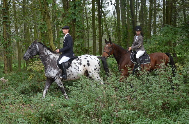 Za lisią kitą (zdjęcia)