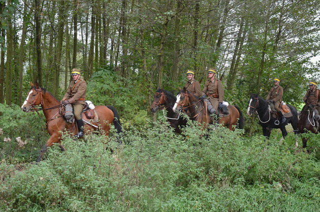 Za lisią kitą (zdjęcia)