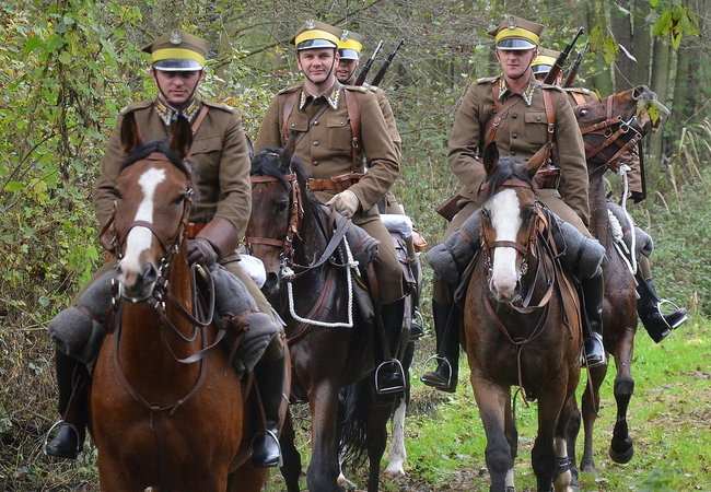 Za lisią kitą (zdjęcia)