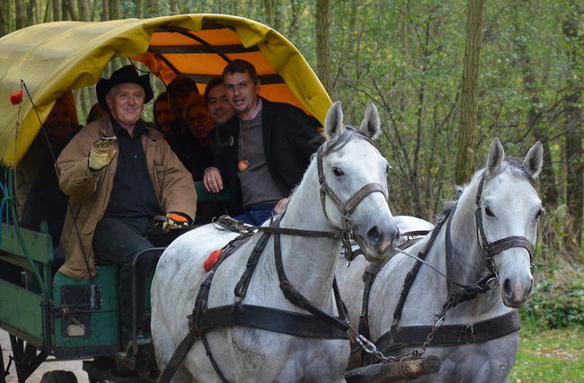 Za lisią kitą (zdjęcia)