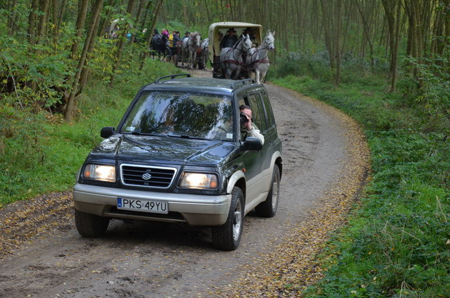 Za lisią kitą (zdjęcia)