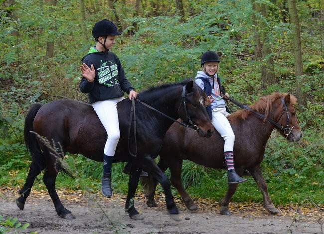 Za lisią kitą (zdjęcia)