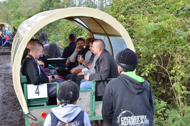 Za lisią kitą (zdjęcia)