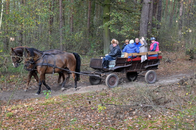 Za lisią kitą (zdjęcia)
