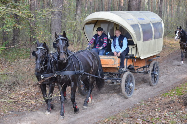 Za lisią kitą (zdjęcia)