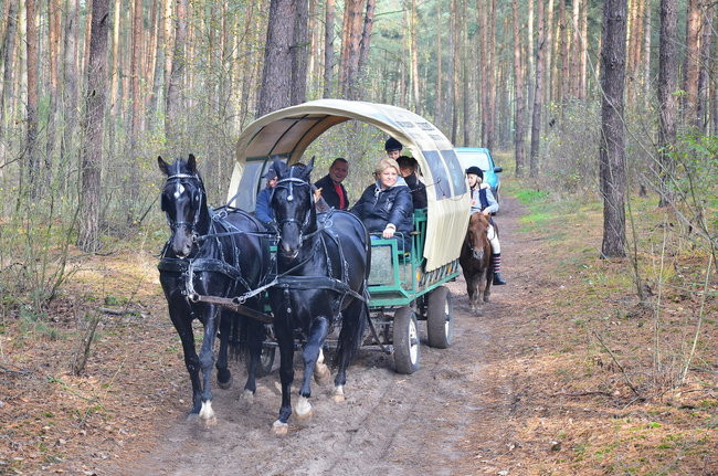 Za lisią kitą (zdjęcia)