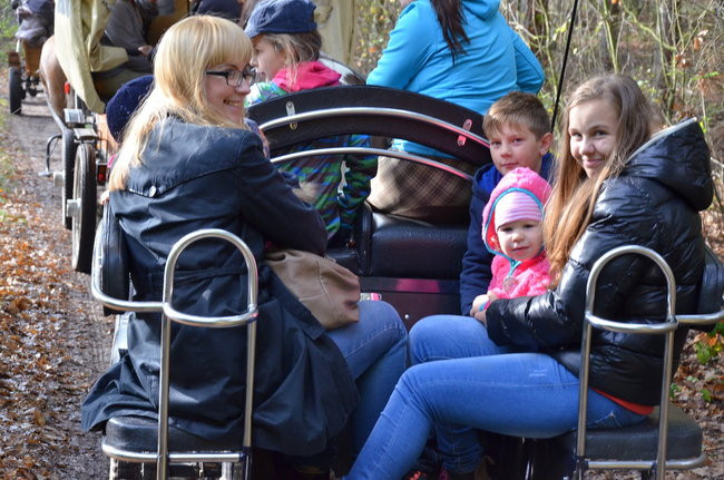 Za lisią kitą (zdjęcia)