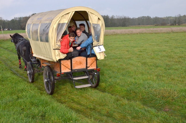 Za lisią kitą (zdjęcia)