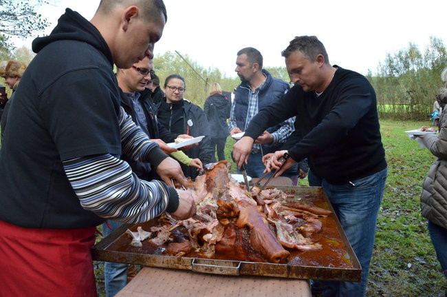 Za lisią kitą (zdjęcia)