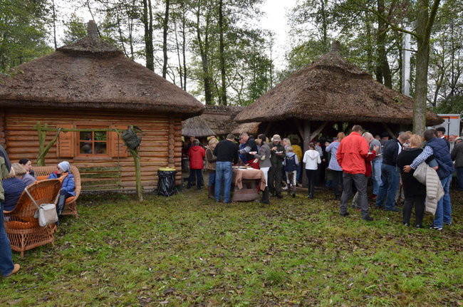 Za lisią kitą (zdjęcia)