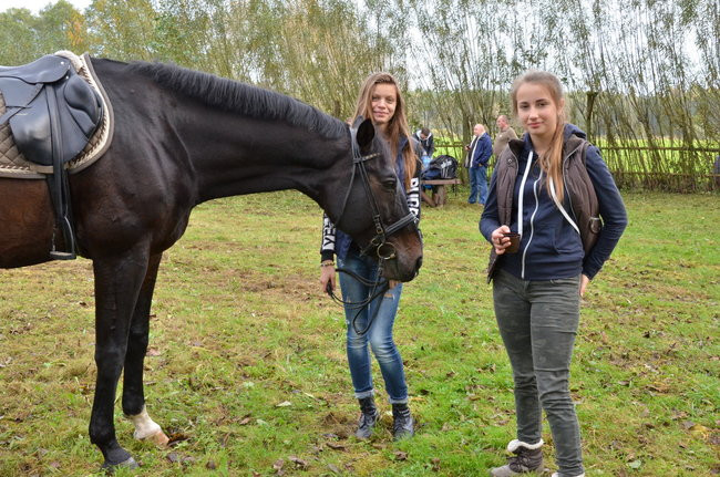 Za lisią kitą (zdjęcia)